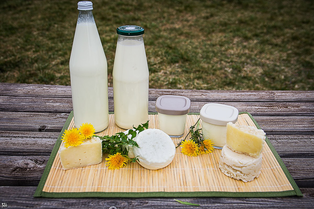 La Cabane des brebis